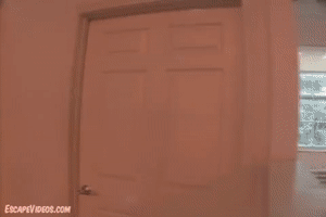 xsiteability.com - Maya Hopping thumbnail